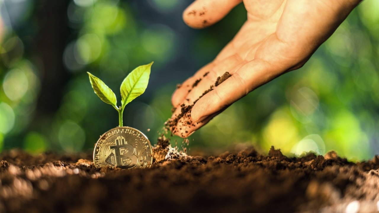 چگونه نوسانات بیت کوین را تحلیل و بهترین زمان خرید را پیدا کنیم؟